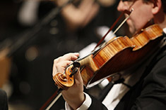 Violinist